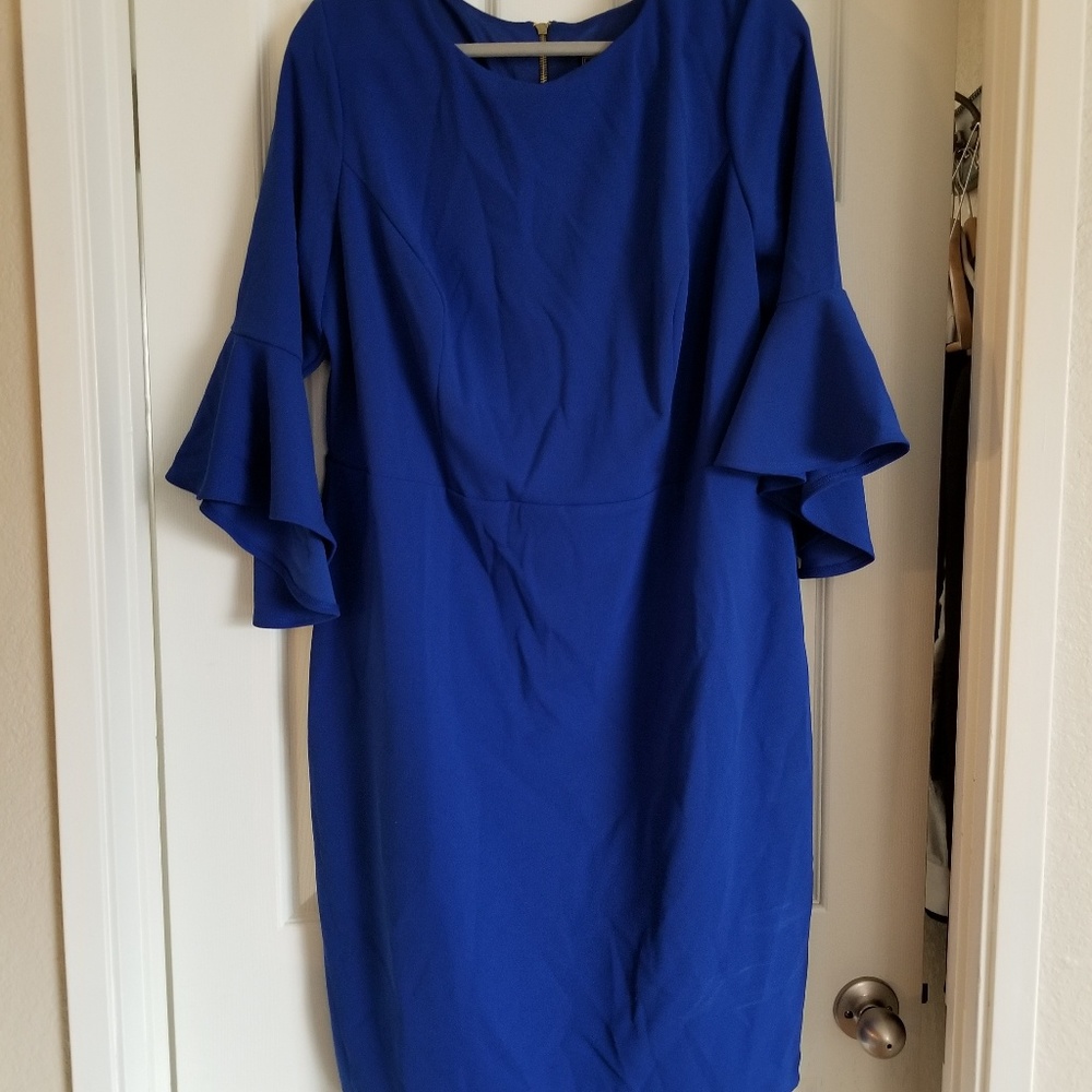 Blue Bell Sleeve Dress